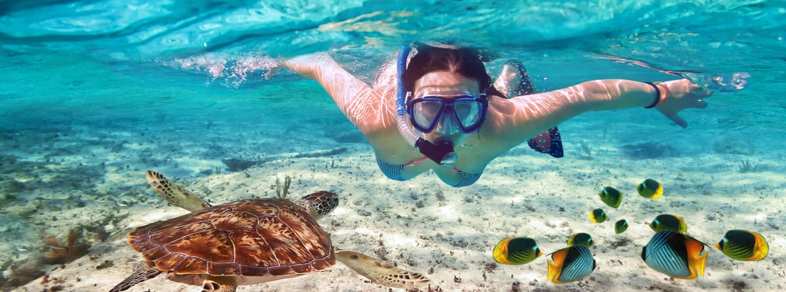 3-Day Budget Mnemba Snorkelling Holiday Zanzibar Holiday for Couples | 3 December 2026 Travel