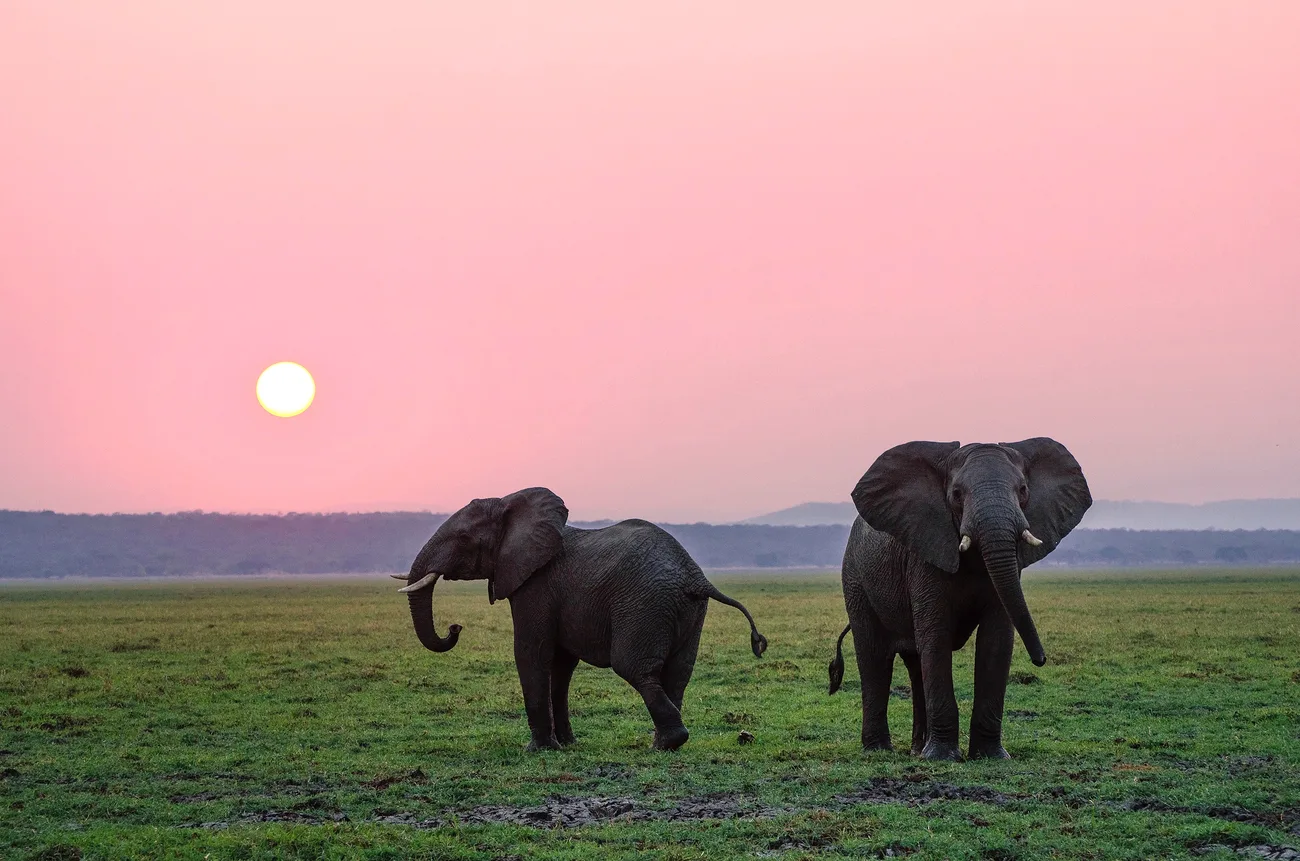 Explore Tanzania