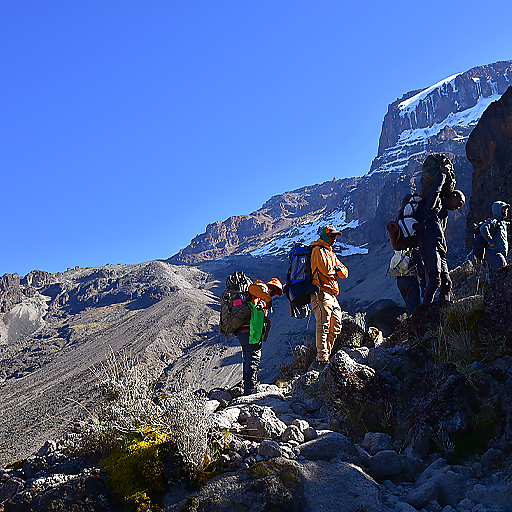7-Day Lemosho Route Kilimanjaro Climb from Arusha — Budget Private Trek | 15 October 2027 Travel