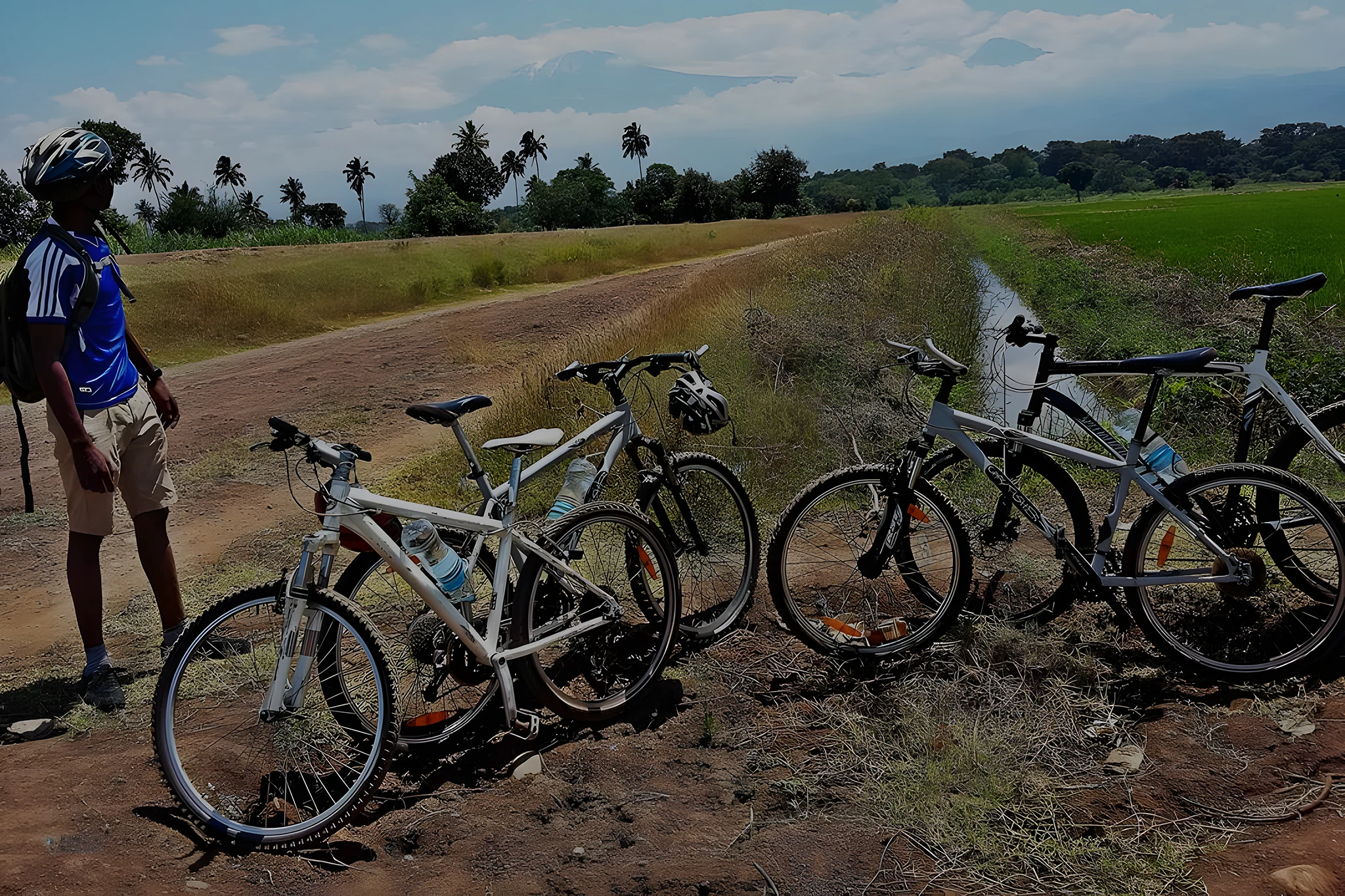 TPC Sugar Plantation Cycling Day Trip
