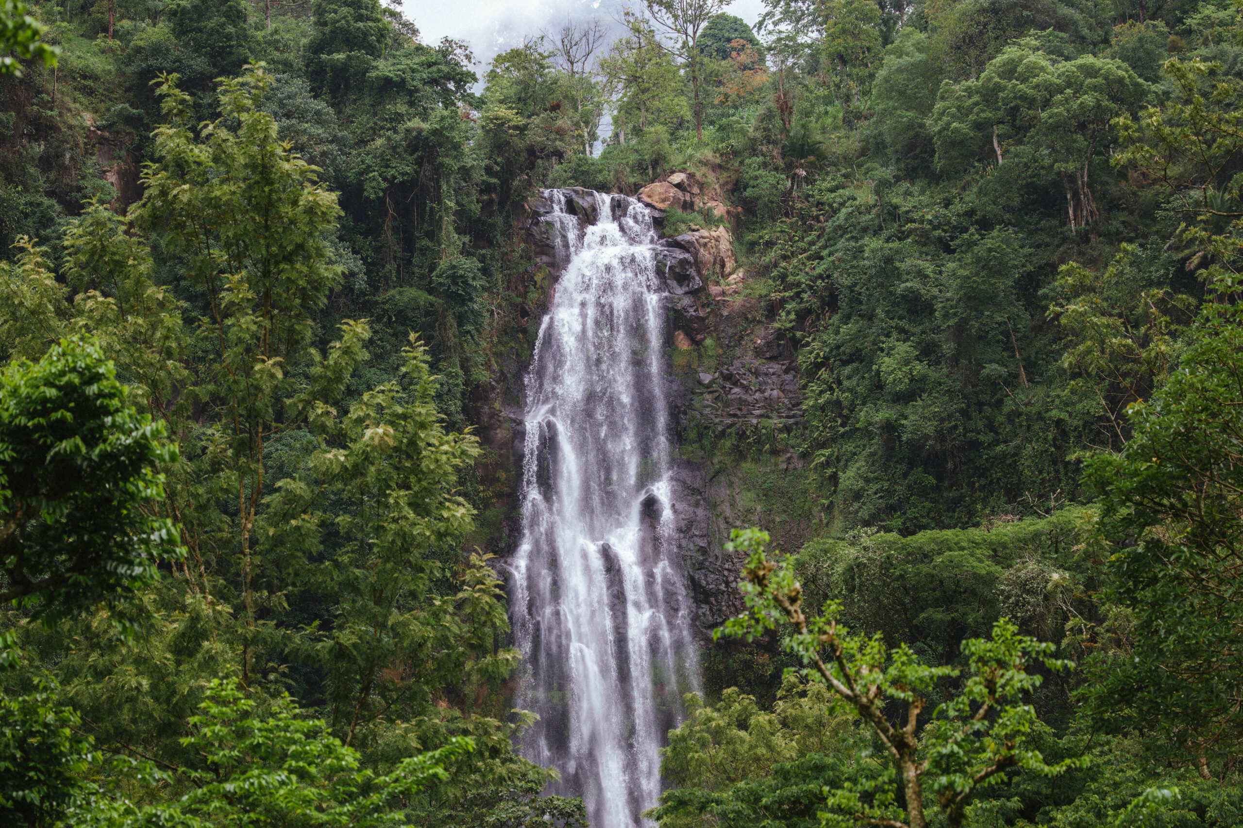 Marangu Waterfalls Day Trip